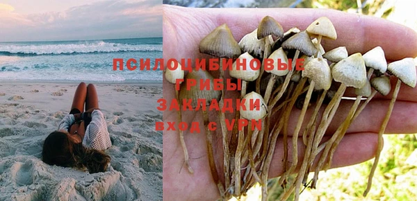 a pvp Аркадак