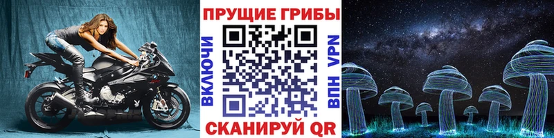 Галлюциногенные грибы Psilocybine cubensis  Пучеж 